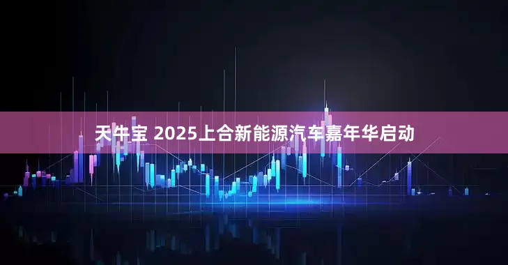 天牛宝 2025上合新能源汽车嘉年华启动