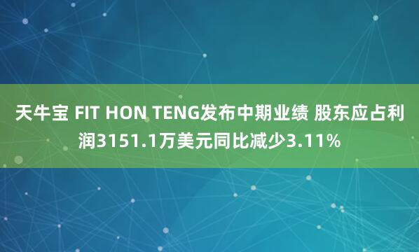 天牛宝 FIT HON TENG发布中期业绩 股东应占利润3151.1万美元同比减少3.11%