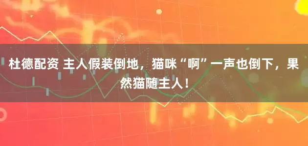 杜德配资 主人假装倒地，猫咪“啊”一声也倒下，果然猫随主人！