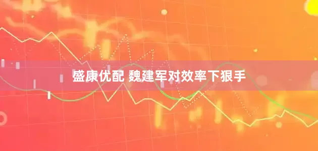 盛康优配 魏建军对效率下狠手